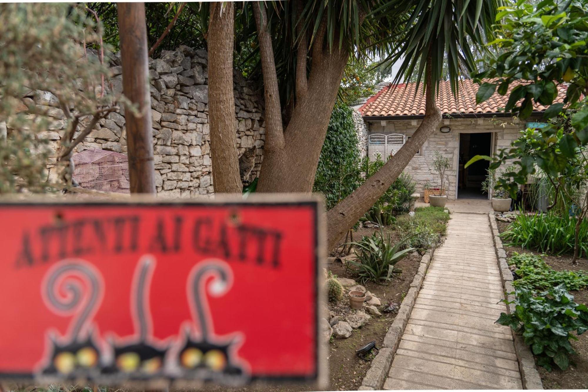 Casa Vacanze Alisei Terlizzi Dış mekan fotoğraf